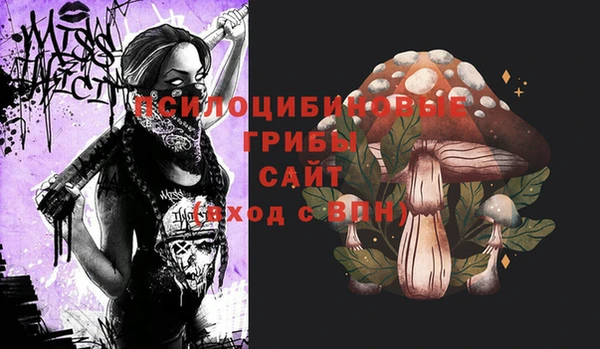 меф Инсар