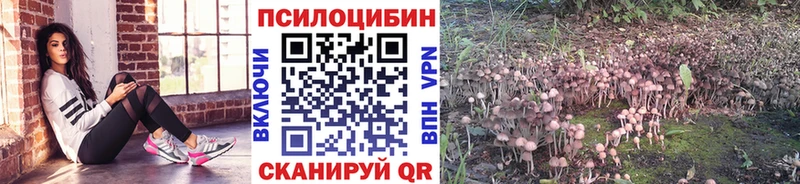 Псилоцибиновые грибы ЛСД  Купить где  Дмитровск 